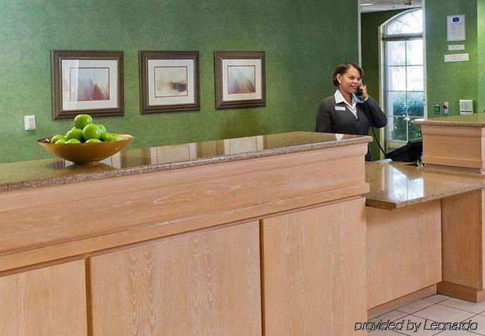 Fairfield Inn And Suites By Marriott קלירווטר מראה פנימי תמונה